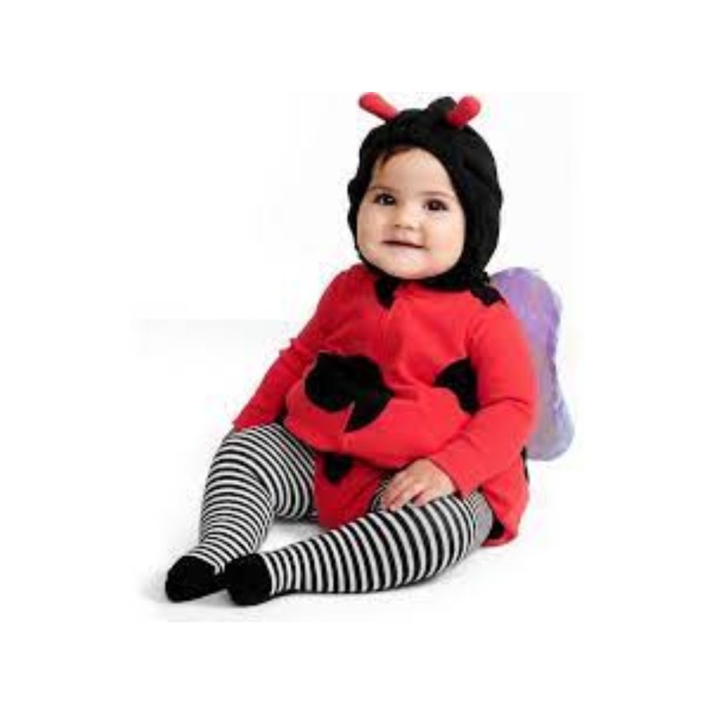 Carter's Ladybug costume with wings